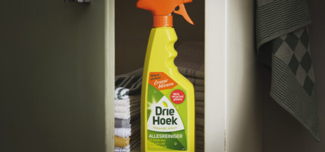 Allesreiniger Spray Driehoek